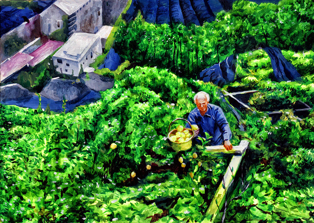 The Harvest Acrylic Painting