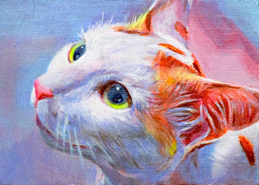 Cat, Meow, Kitten, Pet Portrait, Animals, Domestic Animal Art, Acrylic Painting, Acrylics on Wood, Pastel Painting, Pastel Colors